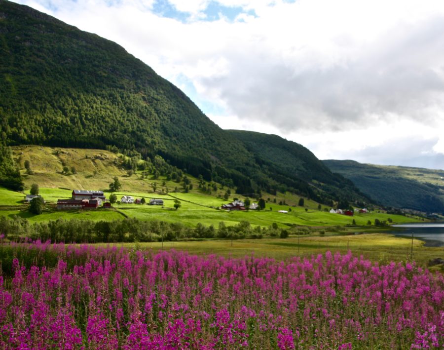 Sogndal To Geiranger The Most Spectacular Drive In The World Two