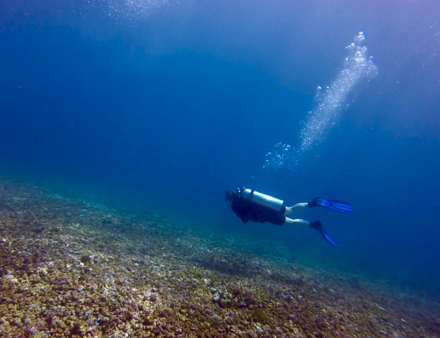 Diving With Mantas In Komodo National Park - Two For The World