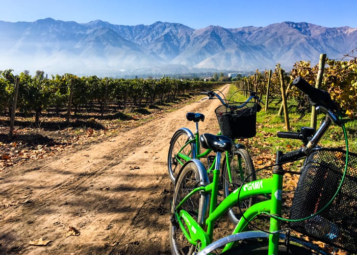 Wine Tasting In Santiago On A Bike And Wine Tour - Two For The World