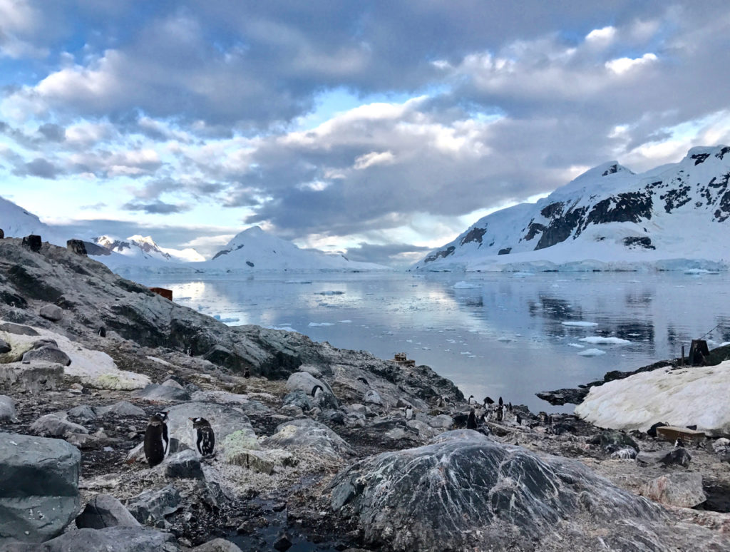 30 Photos Of Antarctica That Show Why It's The Coolest Place On Earth