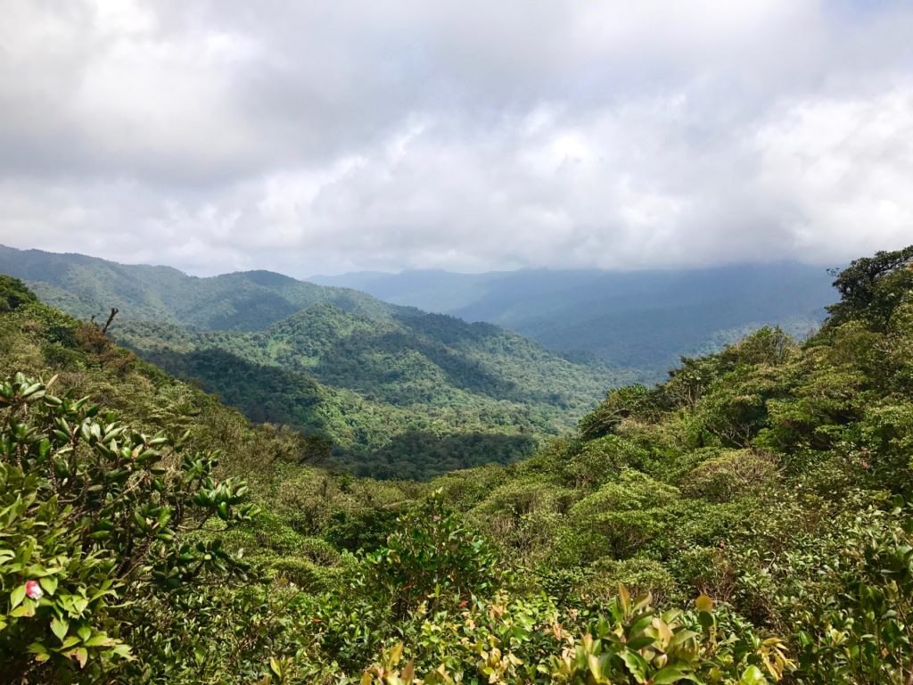 Nature's Best: 5 Must-See Parks In Costa Rica