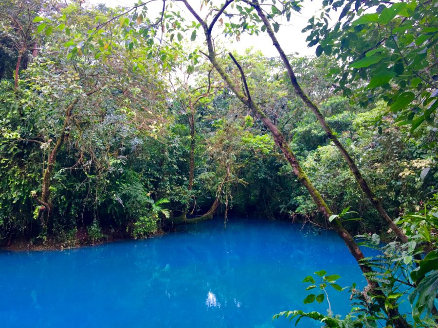 Nature's Best: 5 Must-See Parks In Costa Rica