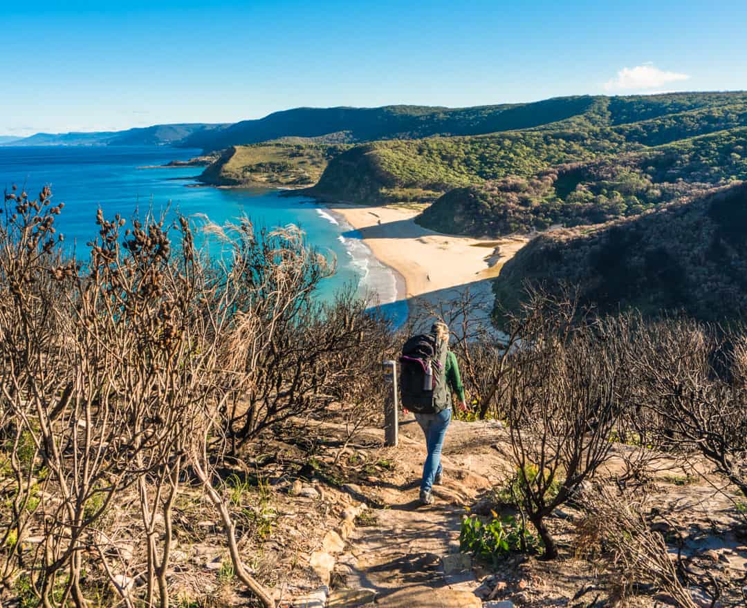 Hiking The Royal National Park Coastal Walk Over 2 Days (Bundeena to  Otford) - Two For The World