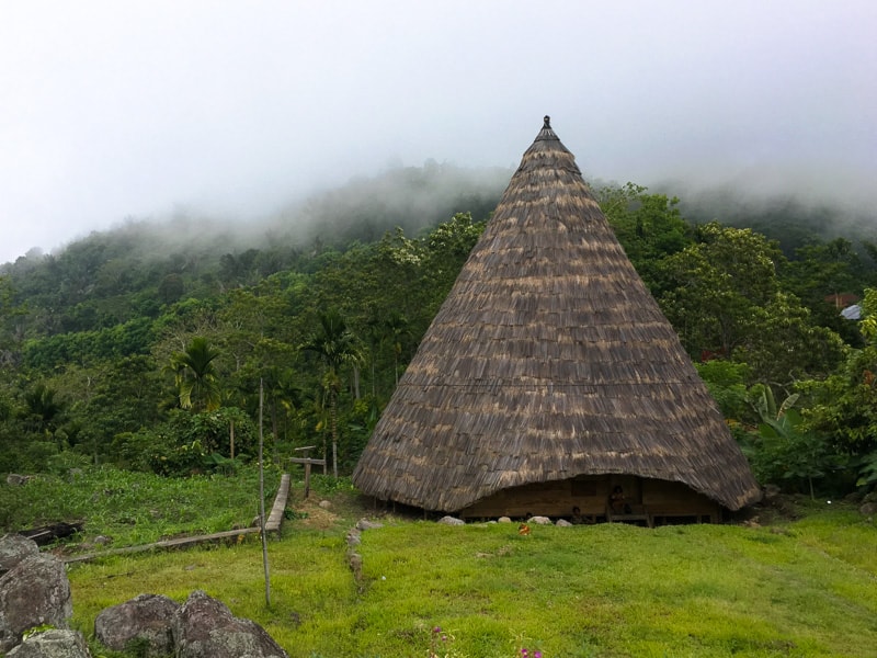Flores Travel – Traditional house at Todo Village.
