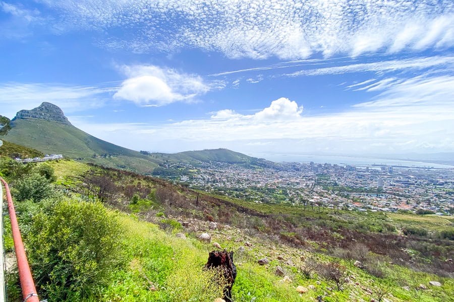 Enjoy views of Lion’s Head and Cape Town’s sparkling coastline from atop the City Sightseeing bus.