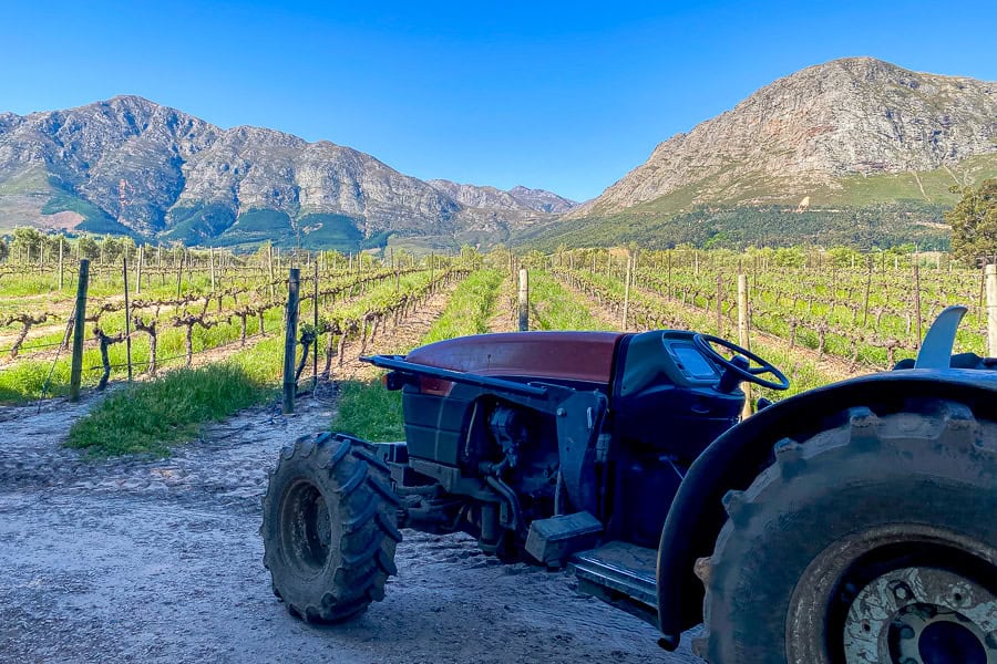 Fabulous views across a vineyard towards the mountains in Franschhoek, one of the classic day trips from Cape Town.